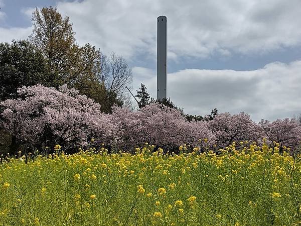 東京春遊：蘆花恒春園