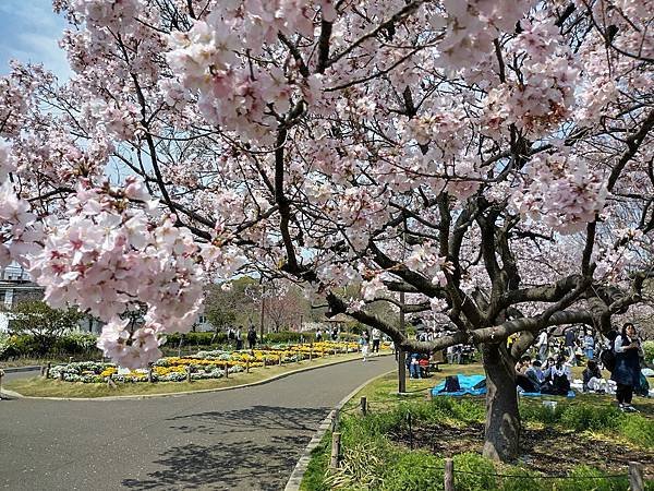 東京春遊：蘆花恒春園