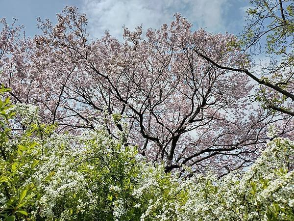 東京春遊：蘆花恒春園