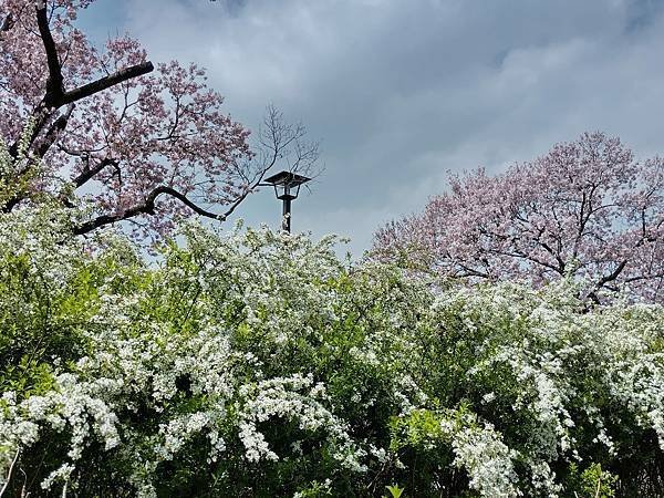 東京春遊：蘆花恒春園