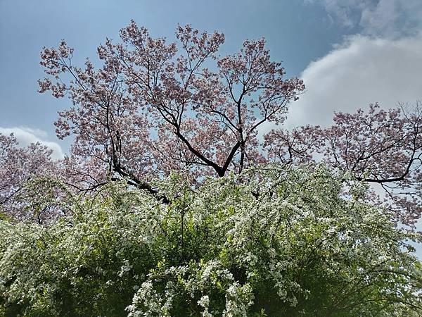 東京春遊：蘆花恒春園