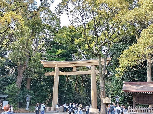 東京春遊：明治神宮快閃