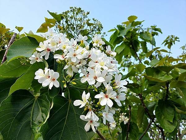 日月潭 四月百花路．向山懸臂式觀景台．看見拉魯