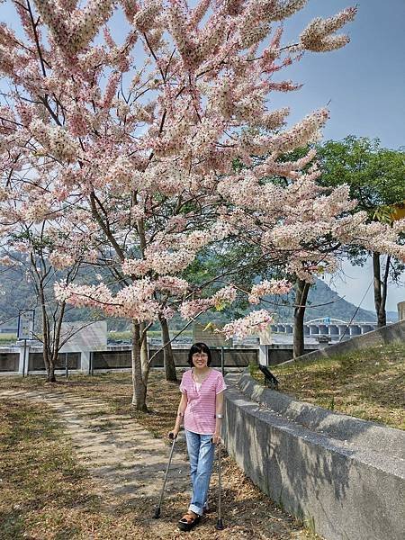 日月潭 四月百花路．向山懸臂式觀景台．看見拉魯