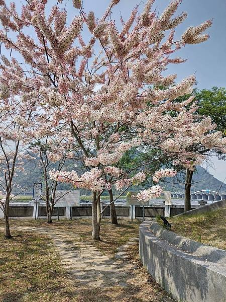 日月潭 四月百花路．向山懸臂式觀景台．看見拉魯