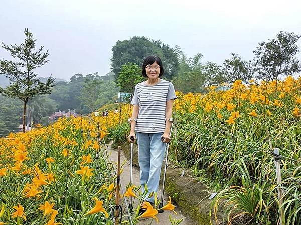 初夏虎山巖 賞金針花 吃炒金針