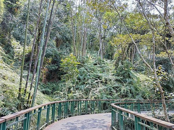 日月潭 四月百花路．向山懸臂式觀景台．看見拉魯