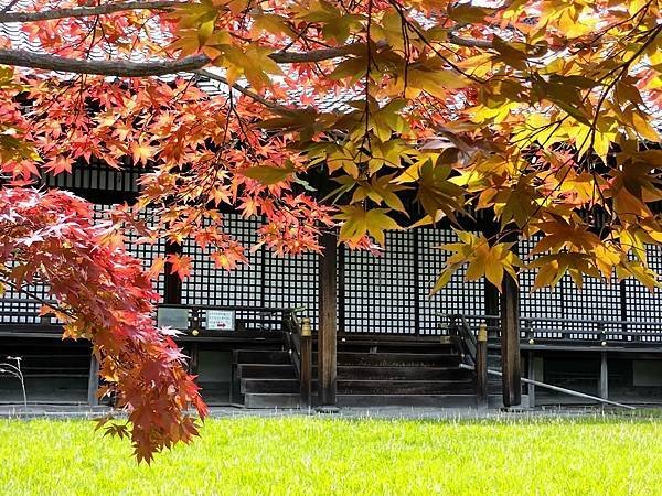 京都初夏 紫陽花：三訪小野咖啡館（カフェトライマソグル）．雅