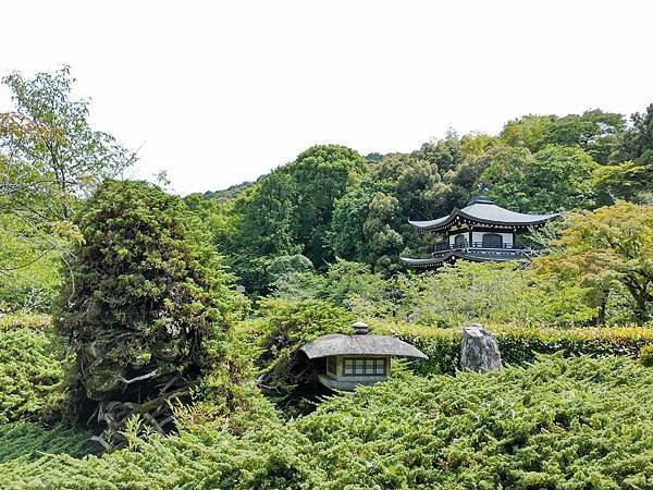 京都初夏 紫陽花：三訪小野咖啡館（カフェトライマソグル）．雅