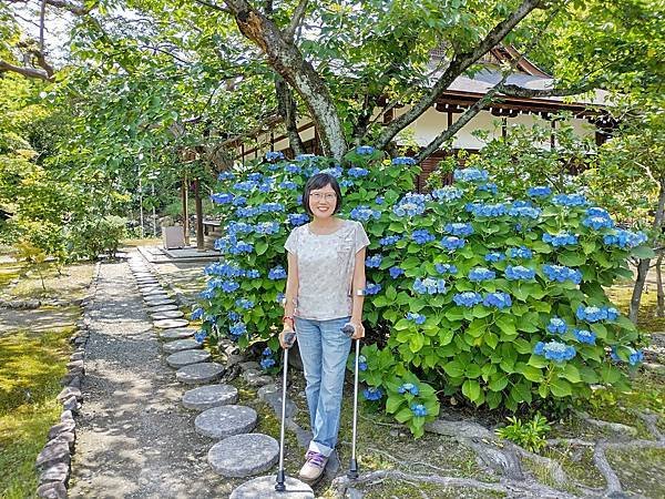 京都初夏 紫陽花：三訪小野咖啡館（カフェトライマソグル）．雅