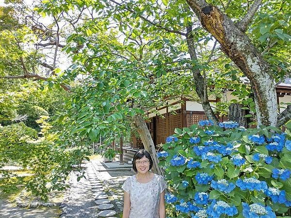 京都初夏 紫陽花：三訪小野咖啡館（カフェトライマソグル）．雅