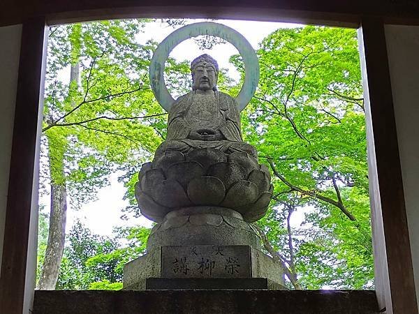 京都初夏 紫陽花：柳谷觀音 楊谷寺