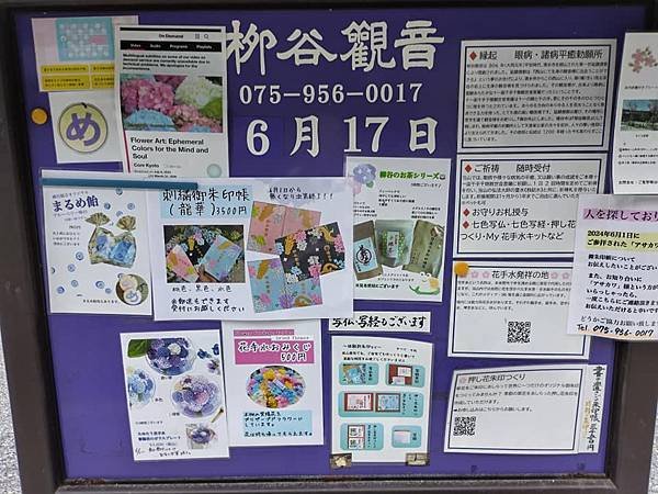 京都初夏 紫陽花：柳谷觀音 楊谷寺