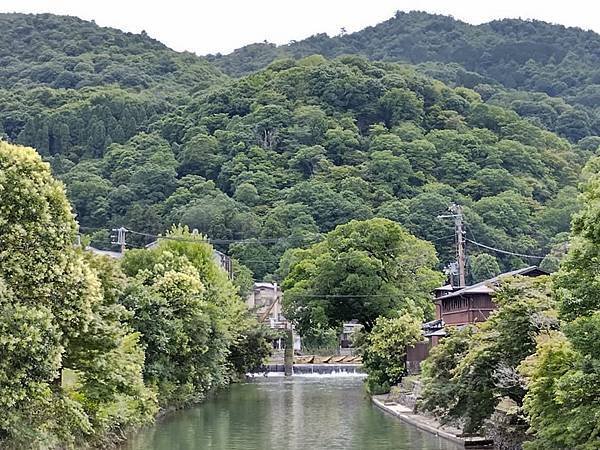京都初夏 紫陽花
