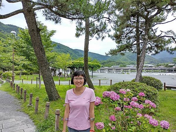 京都初夏 紫陽花