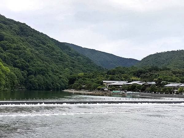 京都初夏 紫陽花