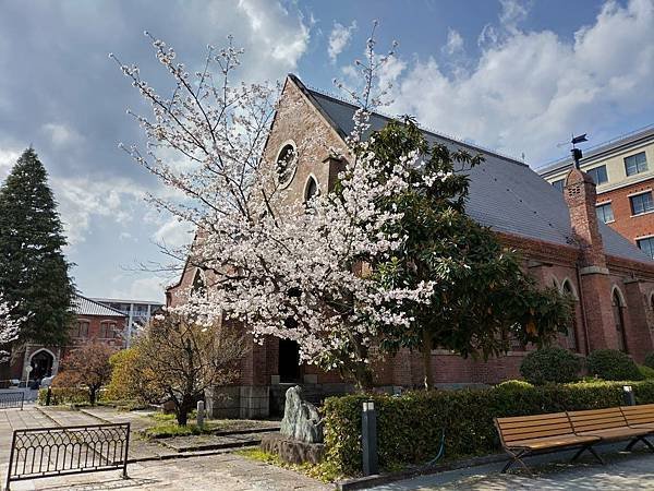 京都櫻緣記：花見同志社大學．本滿寺送春歸