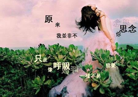34b55718d29da269db28f261b9abe749.jpg