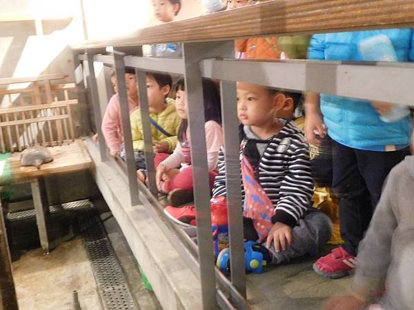 DSCN0908.JPG