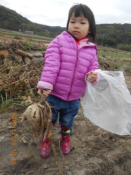 DSCN1659.JPG