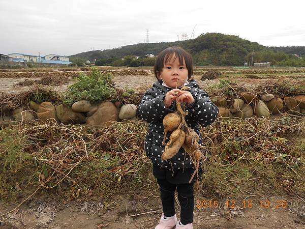 DSCN1669.JPG