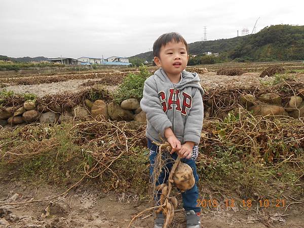 DSCN1672.JPG
