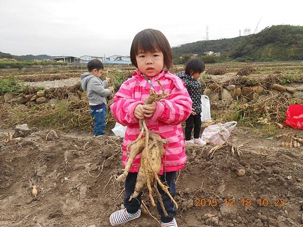 DSCN1676.JPG