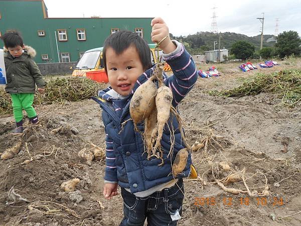 DSCN1678.JPG