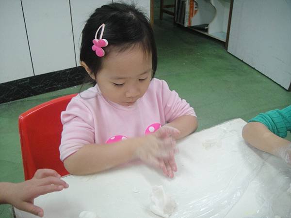 DSC01010.JPG