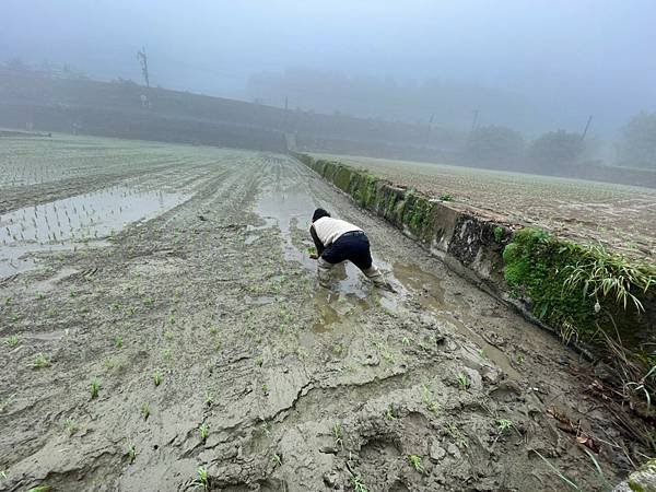 鄉下_210319_16.jpg