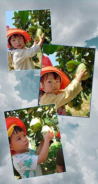 LINE_ALBUM_1090908採柚趣_230913_10.jpg