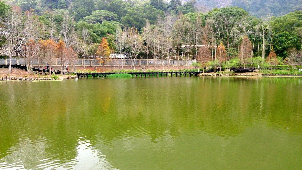DSC_3027.JPG