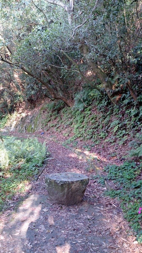 DSC_3585.JPG