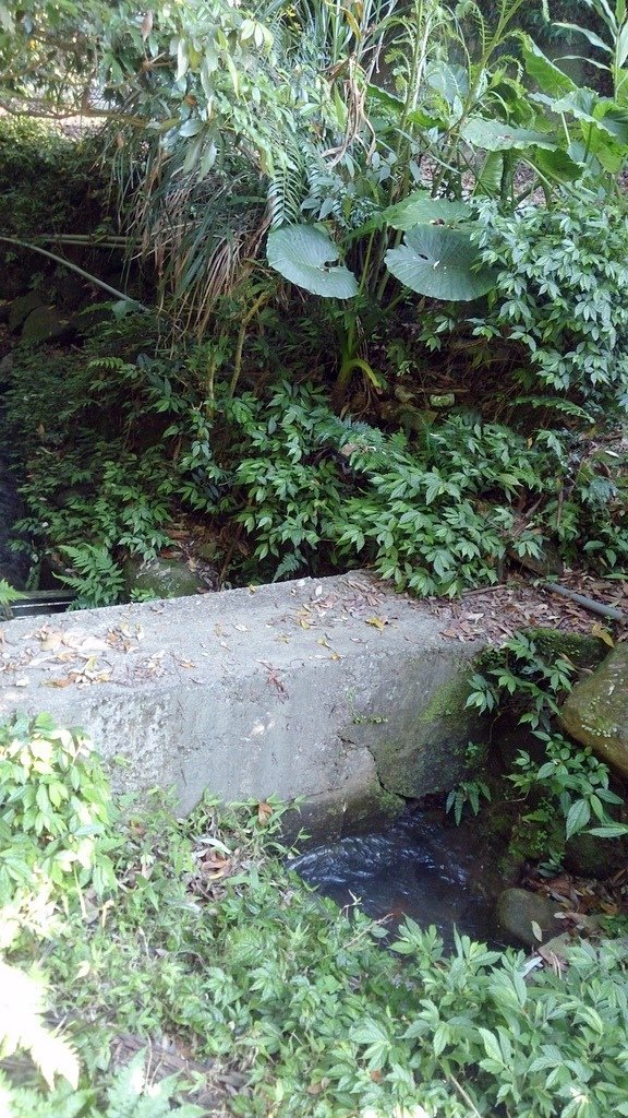 DSC_5195.JPG