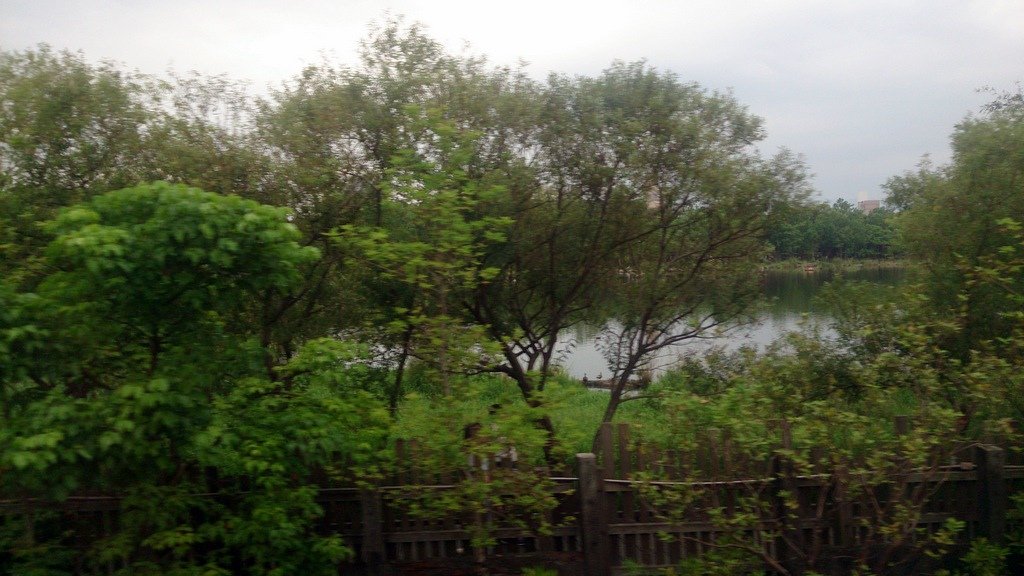 007-DSC_0721.JPG