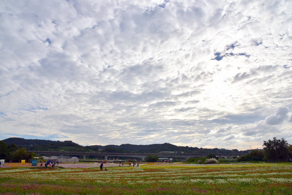 72-DSC_1865.JPG