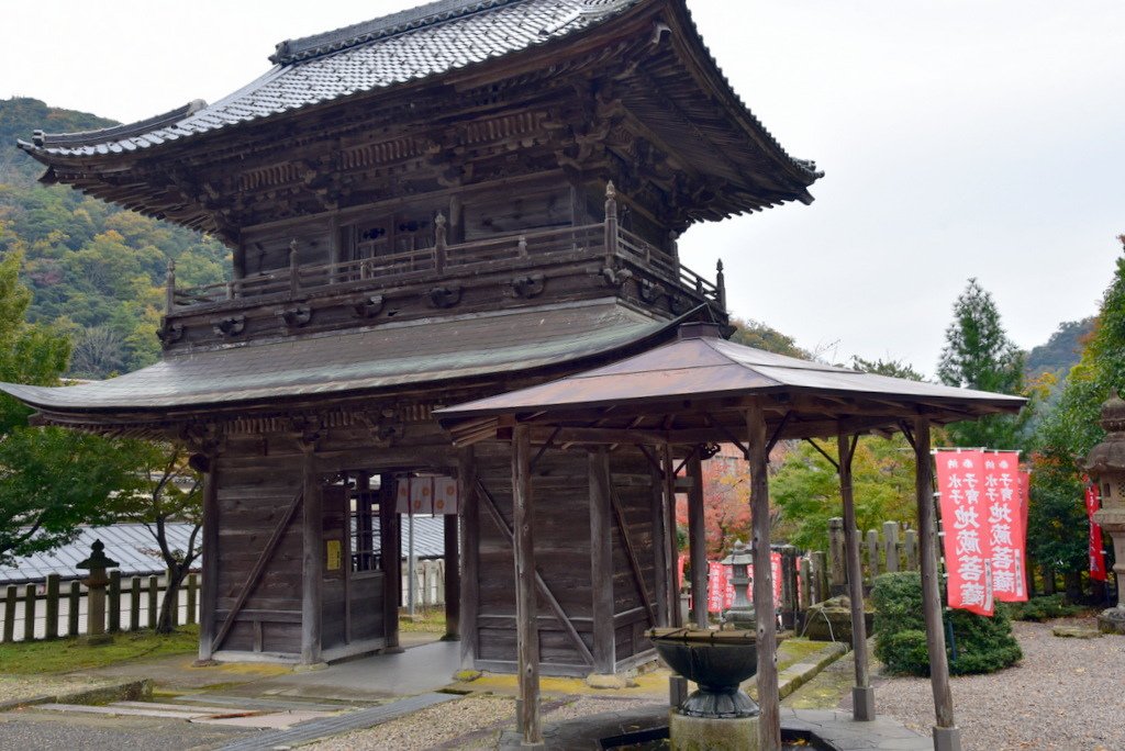 100-DSC_6005.JPG