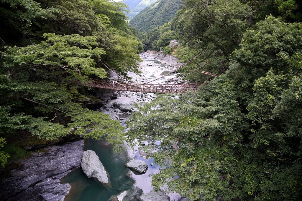 06-DSC_9771.JPG