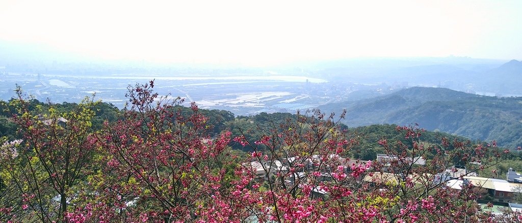 39-hikingBiji2.021220125932E12.JPG