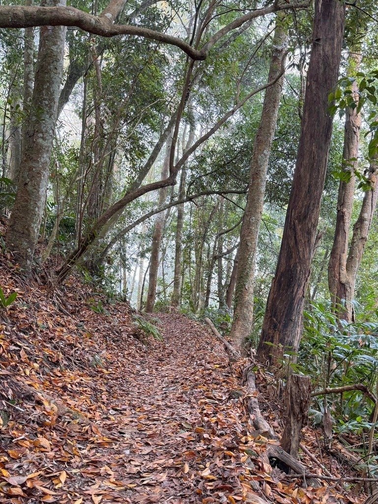 16-LINE_ALBUM_20241208鳥嘴山健行錄_241210_41.jpg