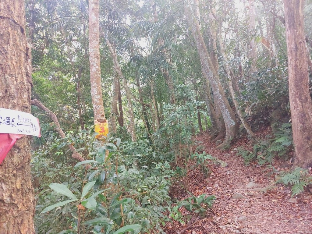 【苗栗泰安】水雲三星之鳥嘴山(上島山)