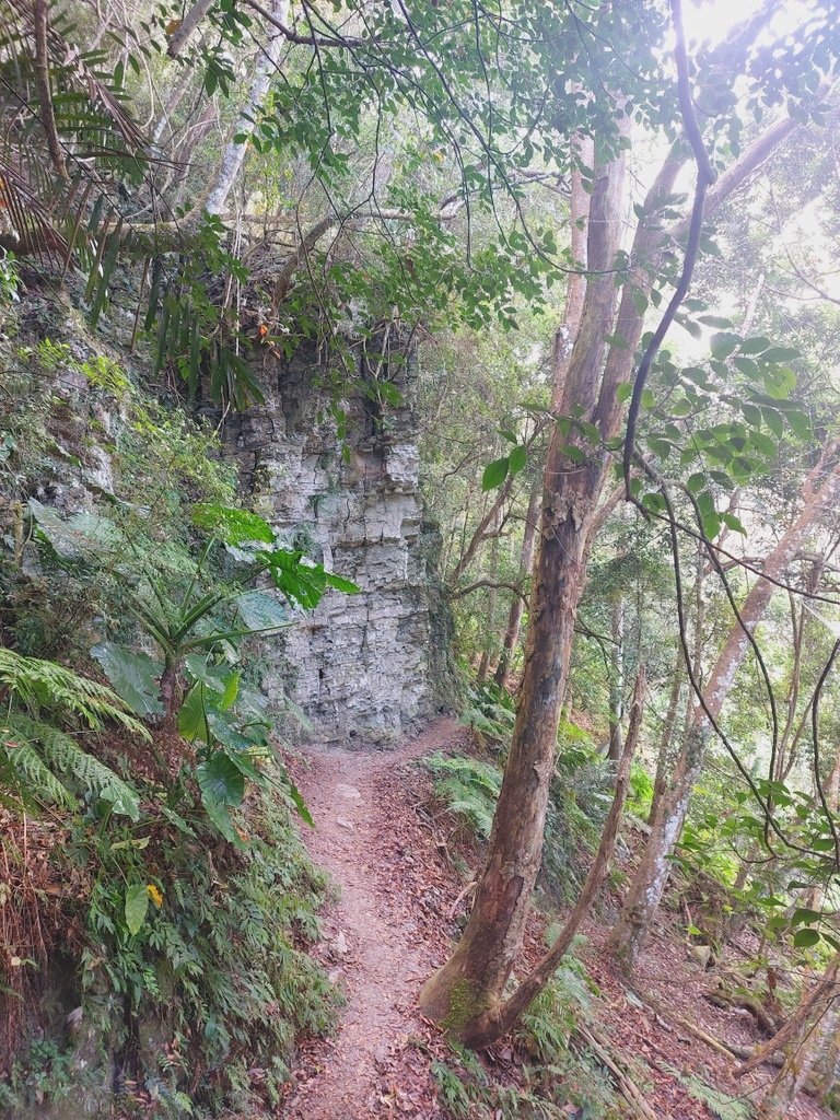 【苗栗泰安】水雲三星之鳥嘴山(上島山)