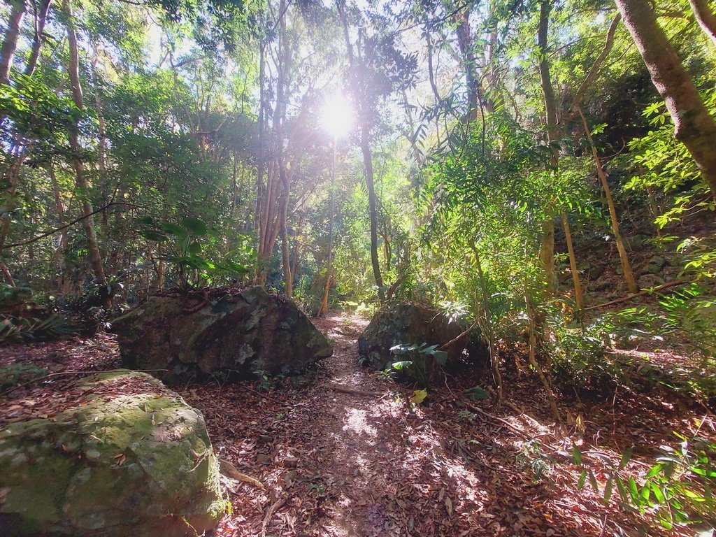 【苗栗泰安】水雲三星之鳥嘴山(上島山)