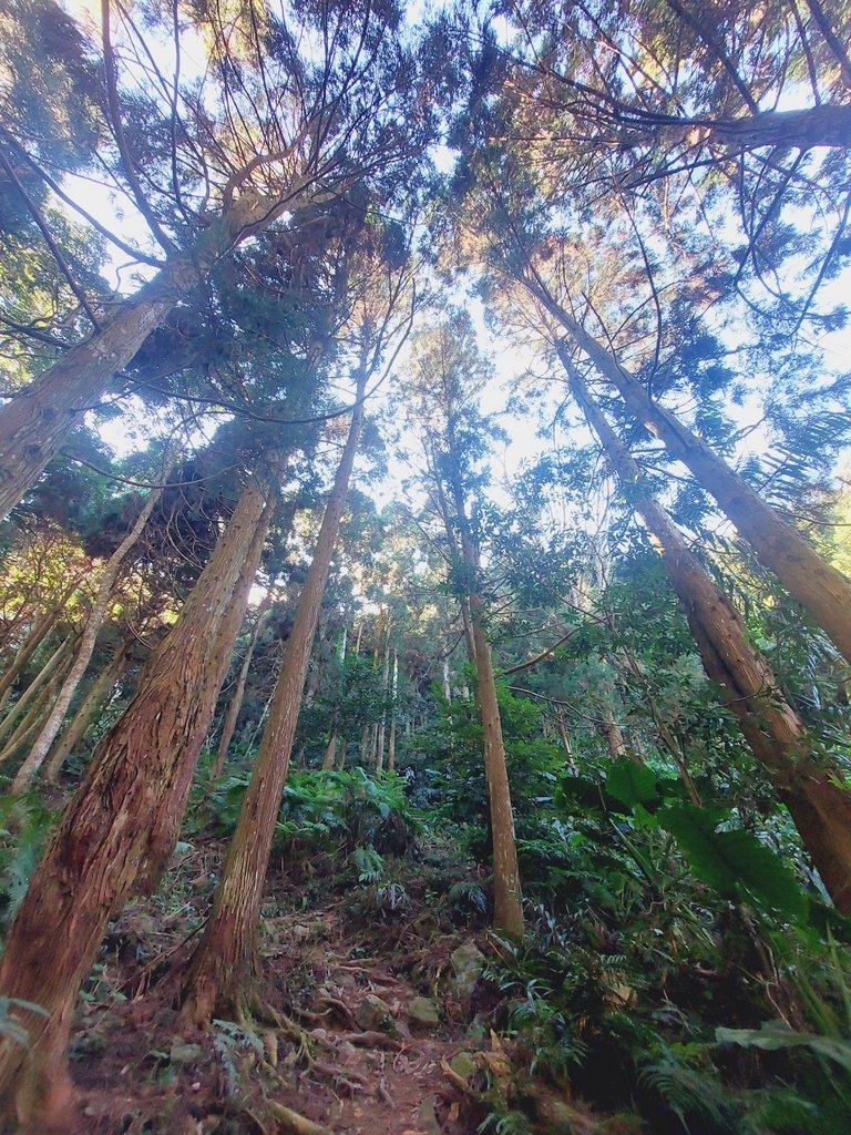 【苗栗泰安】水雲三星之鳥嘴山(上島山)