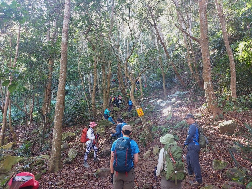 【苗栗泰安】水雲三星之鳥嘴山(上島山)