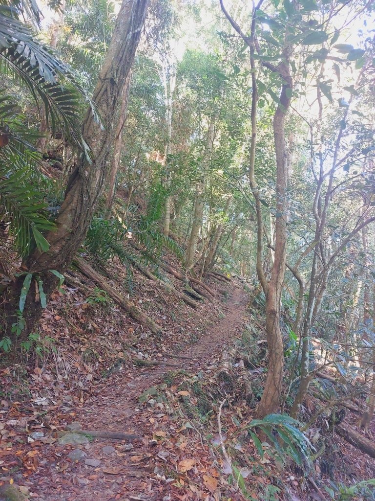 【苗栗泰安】水雲三星之鳥嘴山(上島山)