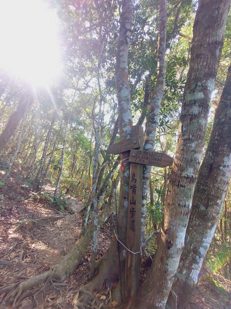 【苗栗泰安】水雲三星之鳥嘴山(上島山)