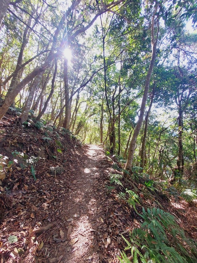 【苗栗泰安】水雲三星之鳥嘴山(上島山)