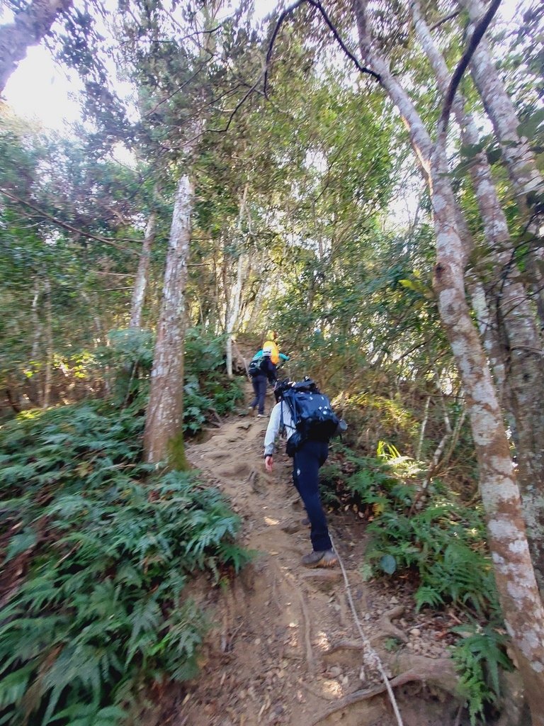 【苗栗泰安】水雲三星之鳥嘴山(上島山)