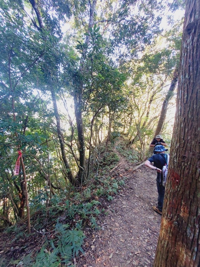 【苗栗泰安】水雲三星之鳥嘴山(上島山)